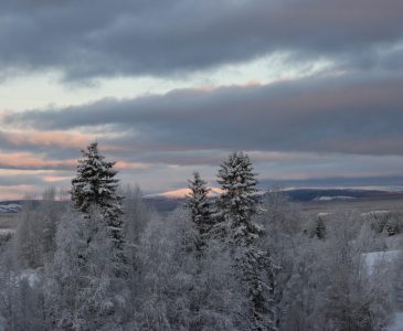 Jettes Gårdsmejeri