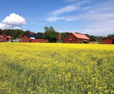 Säby Gård