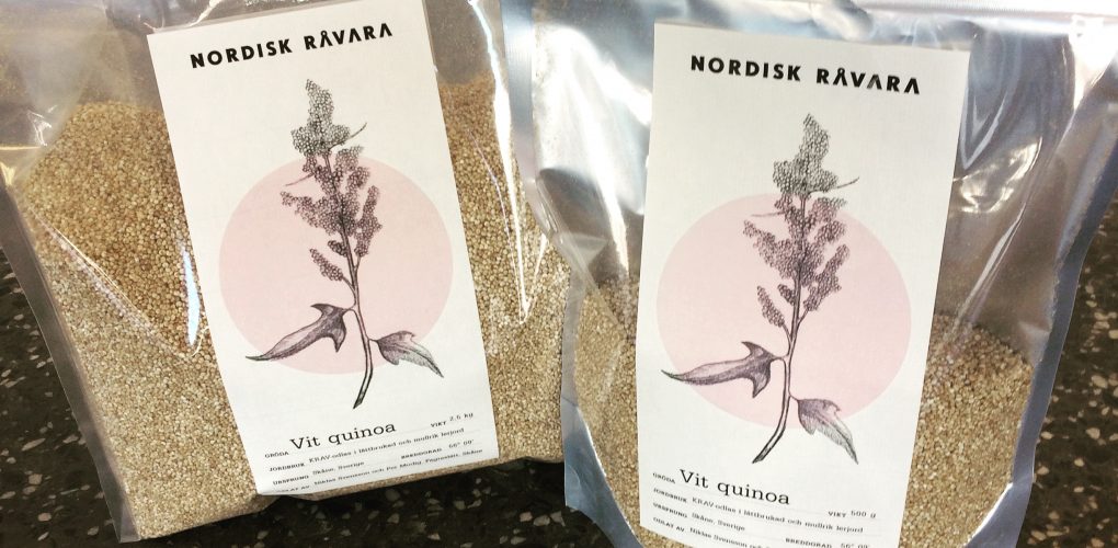 Svensk quinoa odlad i Skåne
