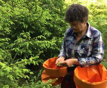 Lena plockar granskott i filmen om Högtorp Gård