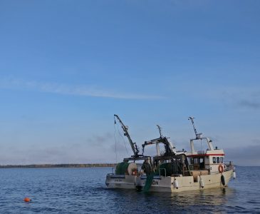 Junköfiskarna trålar kalix löjrom